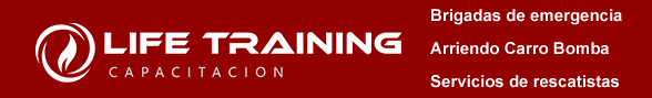 Life Trainig capacitación para empresas  en chile 